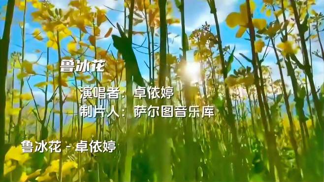 卓依婷《鲁冰花》曲调轻快飞扬，让人心情舒缓，陶醉其中