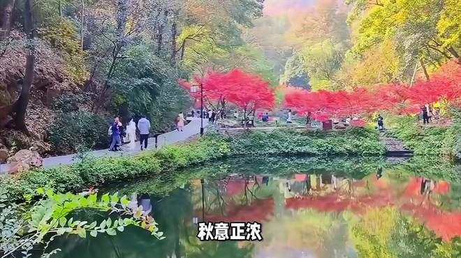 天平山赏枫周末旅游攻略