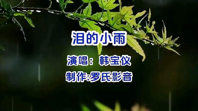 韩宝仪《泪的小雨》悠悠歌声，甜甜音符令人陶醉