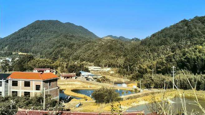 泱泱山间，田螺在中间，你们还能发现什么吗？