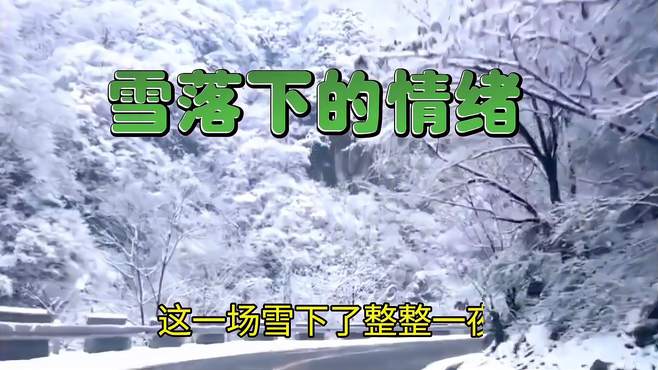 《雪落下的情绪》虽是寒冬时，浓浓回家意，悠扬动听，韵味无穷