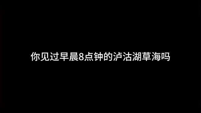 你见过早晨8点钟的泸沽湖草海吗？