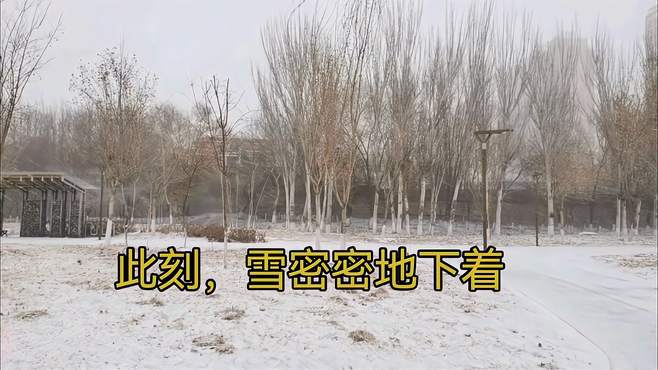 此刻，雪密密地下着，天地间白茫茫一片