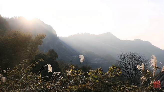 高山上的山泉水冻成了冰柱