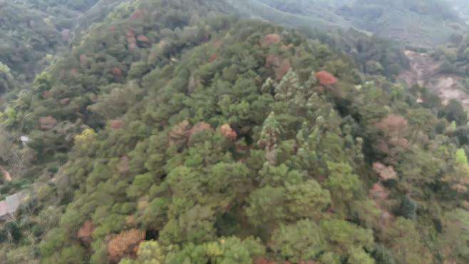 已出富贵，大山深处的美景