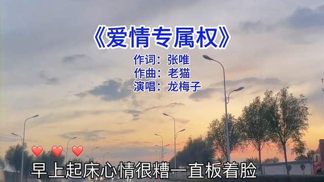 龙梅子《爱情专属权》歌曲分享