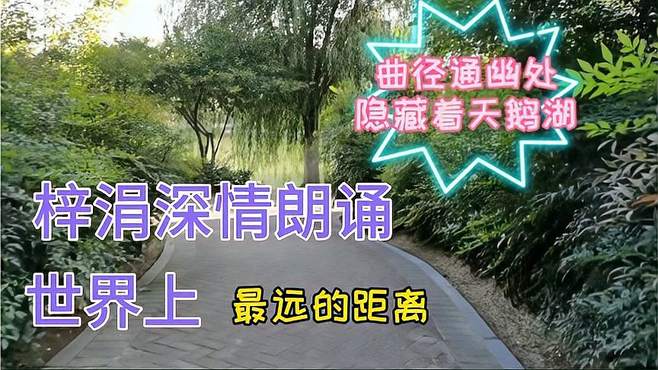 梓涓深情为你朗诵，世界上最远的距离，是鱼与飞鸟的距离