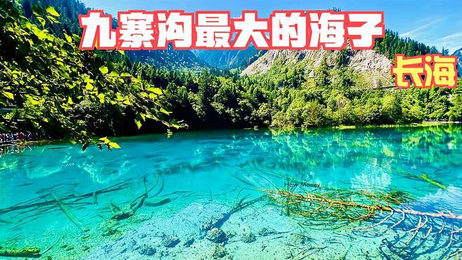 九寨沟有114个海子，长海是沟内海拔最高的海子，有3060米