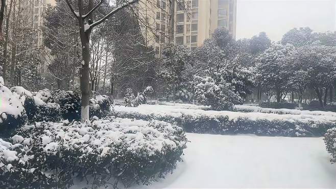 落雪无声化雪无痕，雪落无痕岁月无声