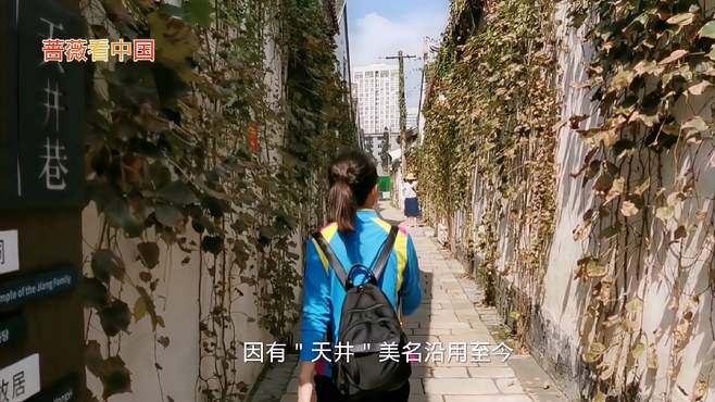 走进青果巷六百年历史天井巷，偶遇蒋氏宗祠