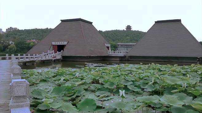 江苏徐州旅游必去景点：穿越时空之旅，建议收藏分享体验