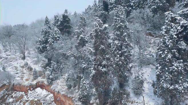 #雪一落这里就美成了诗 #登上山顶看美景 #冬日镜头下的大好河山