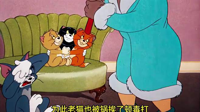 猫和老鼠：三只小猫将老猫和杰瑞耍的团团转