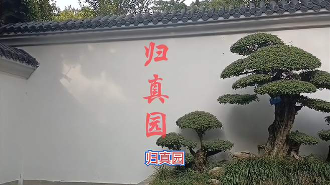 江北园林归真园，是潍坊市区三大园林之一