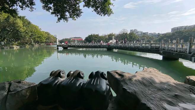 桂林旅行，一定要打卡市中心的榕湖景区，美景入画，醉心养眼