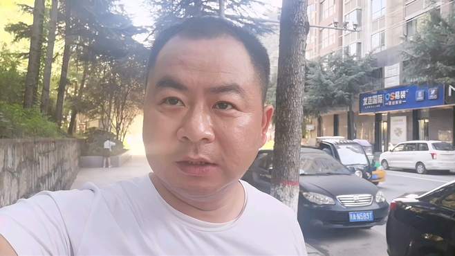 陕西贫困县柞水，人均GPD不到4万元，看一下街道都停着什么样的车