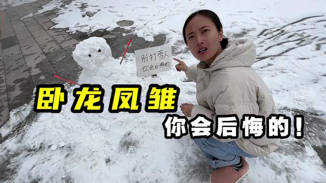 卧龙凤雏！别打雪人！你会后悔的！