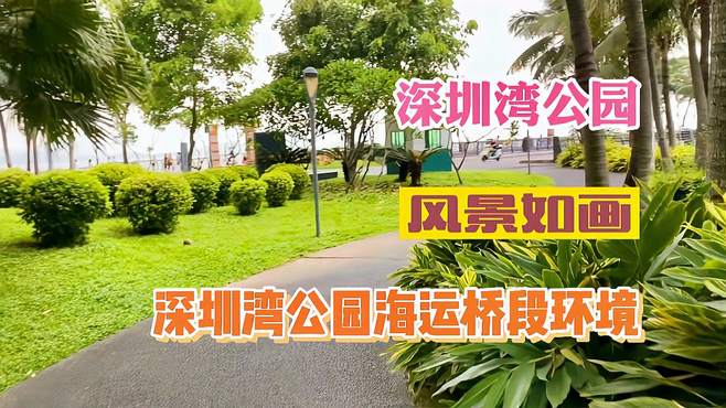 实拍深圳湾公园海运桥路段景色秀丽美如画，附近有公交站地铁站