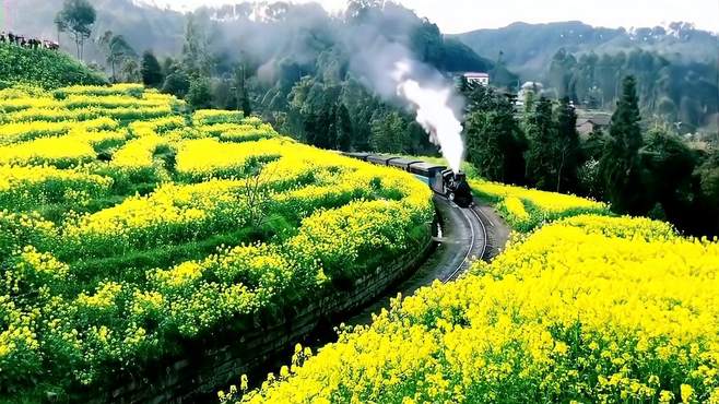 四川五星村：春日列车与油菜花的浪漫邂逅