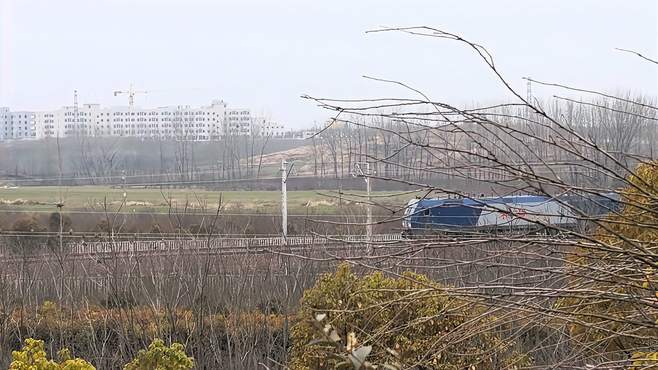 宁西铁路贯穿唐河古树林