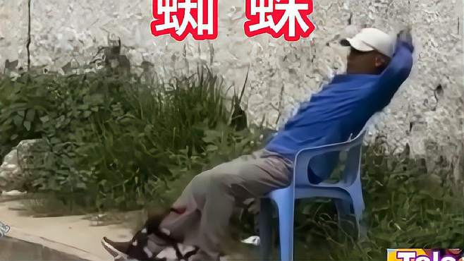 如果一觉醒来发现身上多了一只小动物。你会怎么办呢