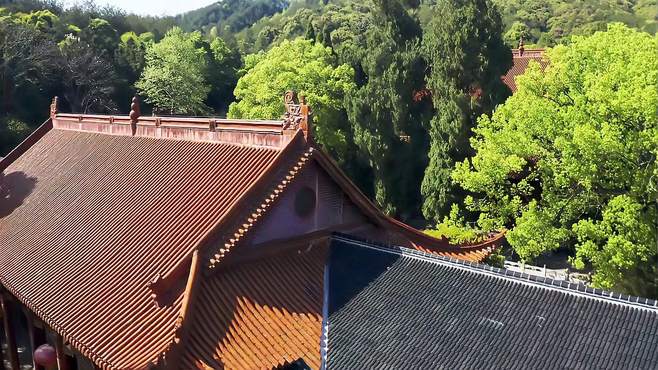 南岳探秘：福严寺与南台寺，千年古刹等你来解锁禅意人生