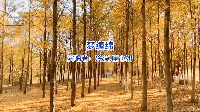 庄心妍，冷漠的一首《梦缠绵》歌词很现实的一首歌曲，超级好听