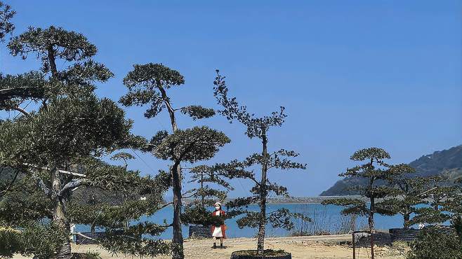 浙江3A级景区村庄：奉化山下地村