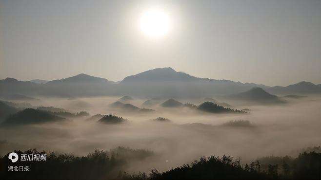 微视│崇阳：云雾缠青山 缥缈似仙境