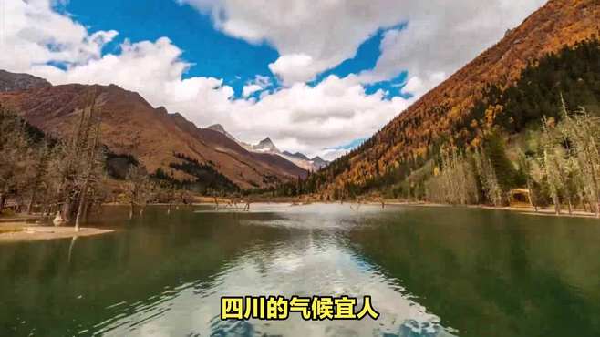 九寨沟旅游的费用大约是多少钱？