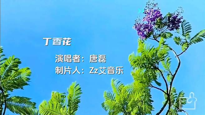 唐磊《丁香花》经典回忆