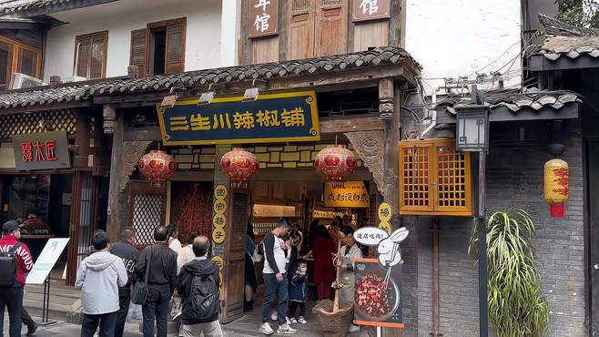 成都文化一日游：探访宽窄巷子、武侯祠，感受历史韵味