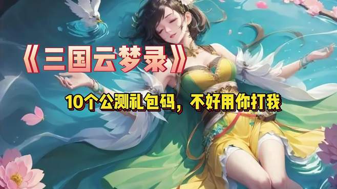 《三国云梦录》10个公测礼包码不好用你打我