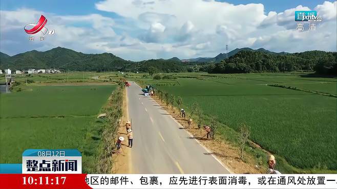 万年：路边鲜花美 乡村风景线