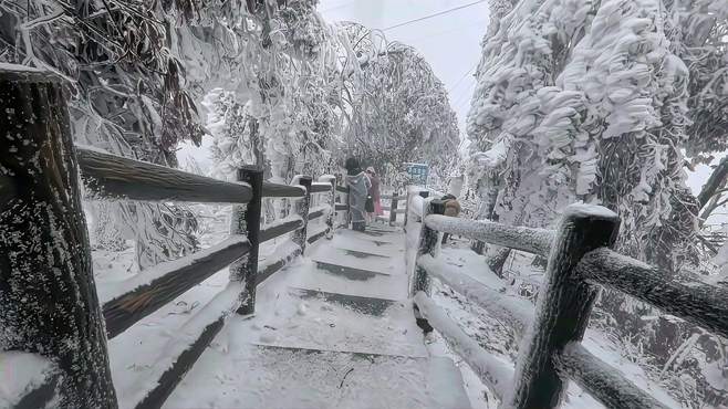 春天里的冰雪世界，资源隘门界的雪景雾凇实在是太美了