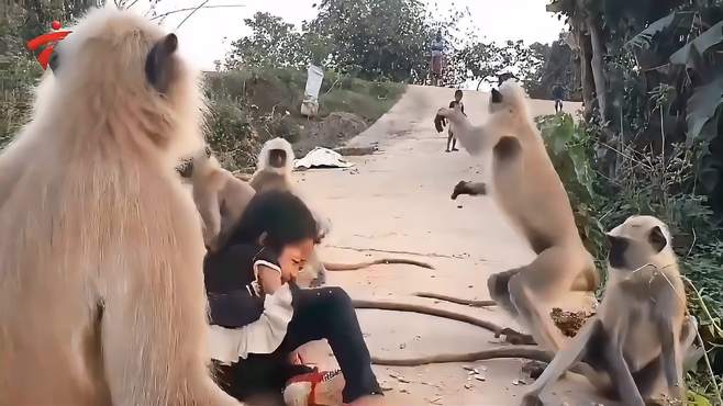 小伙将猴子推下栏杆，猴子反击追赶，小伙吓得鞋子都跑掉