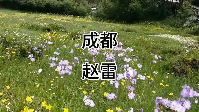 歌曲：成都 演唱：赵雷