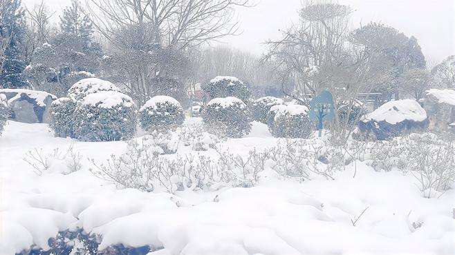 周山美丽雪景，孩子们的乐园！