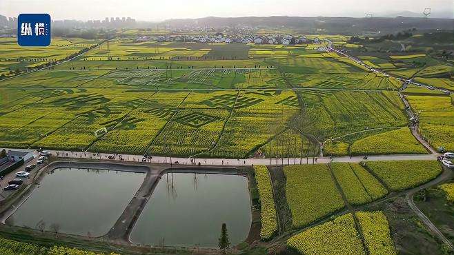 【 陕西汉中百万亩油菜花像金色海洋  】每年3月至4月，地处秦巴腹地的陕西汉中上百万亩油菜花陆续开放，蔚为壮观，曾被评为“中国最美油菜花海”，前往汉中观赏油菜花