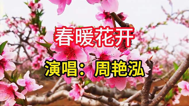 周艳泓演唱《春暖花开》，悠扬动听的歌声，描绘了春天的美景