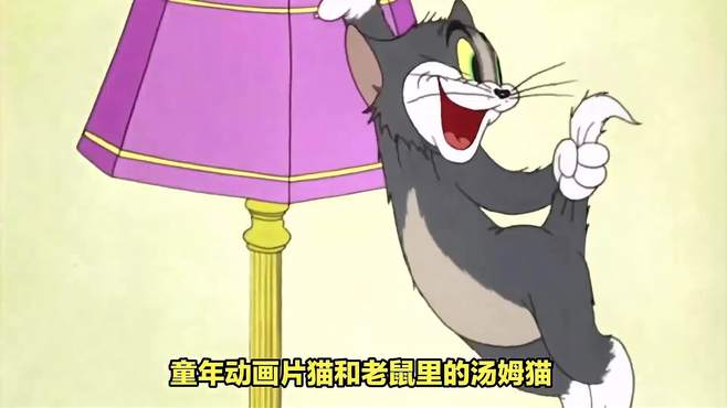 童年动画片《猫和老鼠》里的汤姆猫是什么猫，你知道吗？