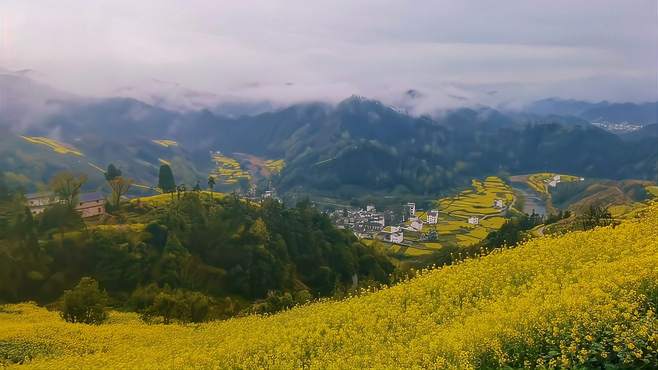 安徽有一个山村，现在去仿佛来到仙境，景美还免费。石潭村油菜花