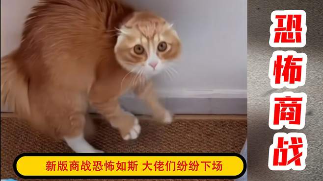 新版商战恐怖如斯，就问这只小猫做错了什么！