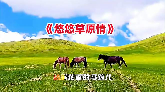 草原歌曲《悠悠草原情》，旋律好听，歌声嘹亮