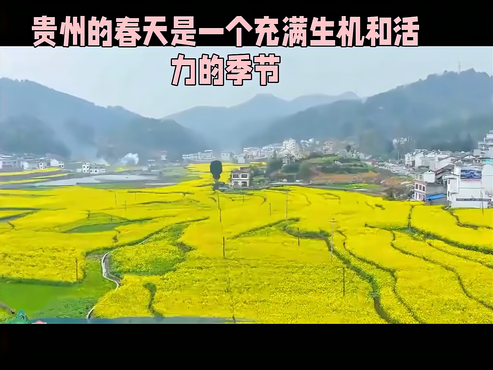 贵州春天盛景：五彩斑斓的花海等你来赏