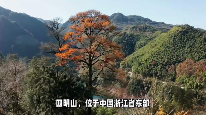 四明山旅游景点有哪些