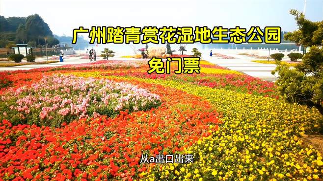 广州踏青赏花的免费湿地生态公园，有山有水有花，感受万物复苏