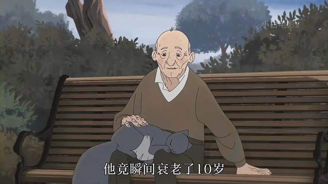 老人仅仅是摸了猫一下，就瞬间年轻了十岁