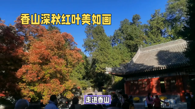 香山深秋红叶美如画