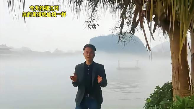 作为柳州人的一种骄傲，紫荆花还在，平流雾又起